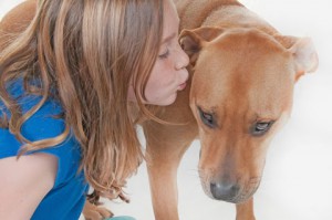 Dog stress signal at being kissed