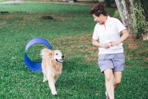 Dogs with disabilities - IAABC article
