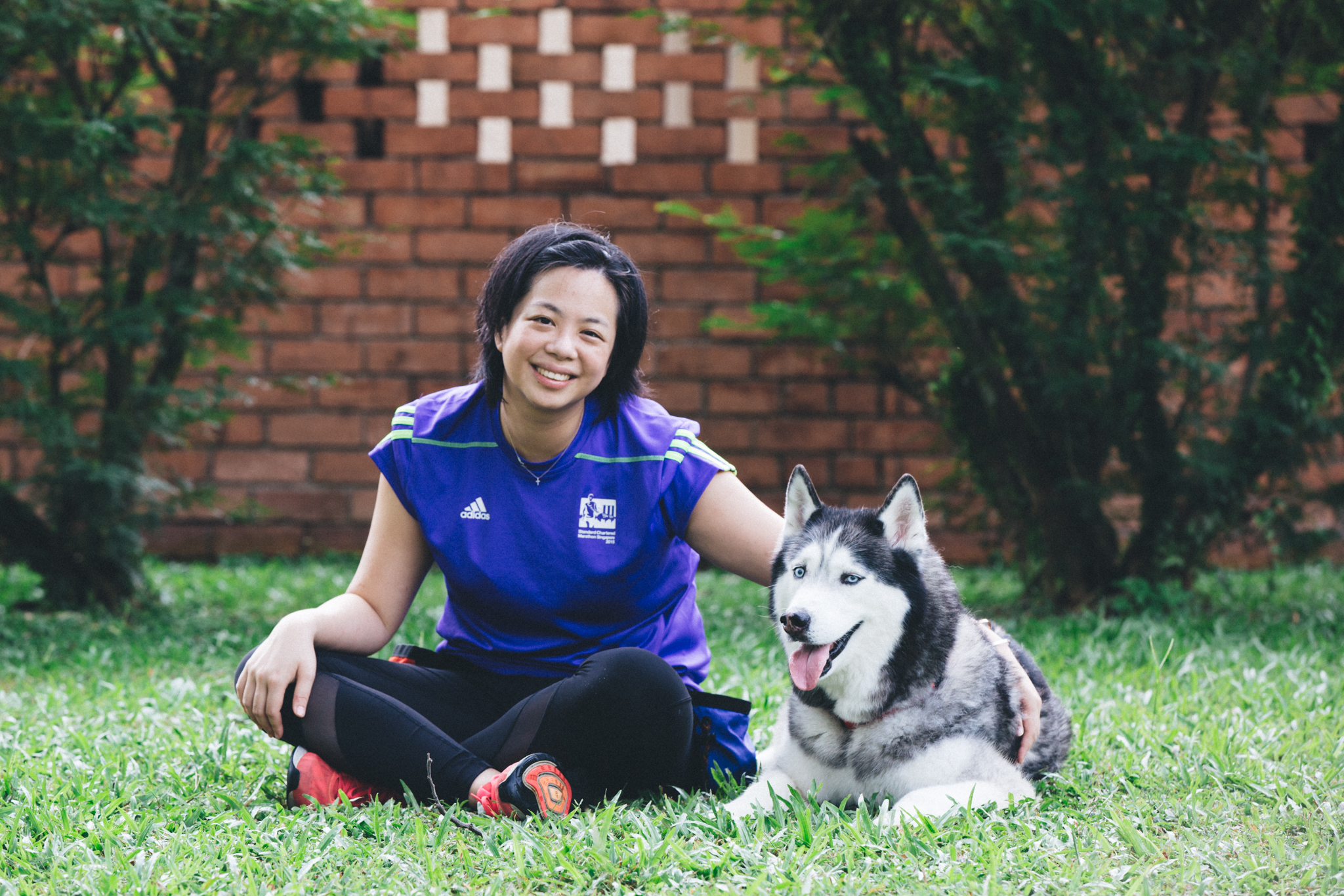 Force-free training with Piko, Husky
