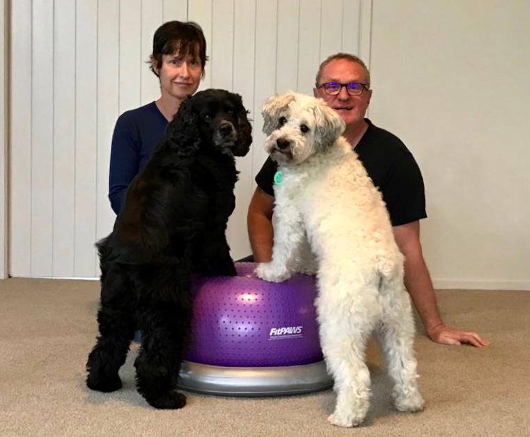 Force-free dog training and canine fitness in New Zealand