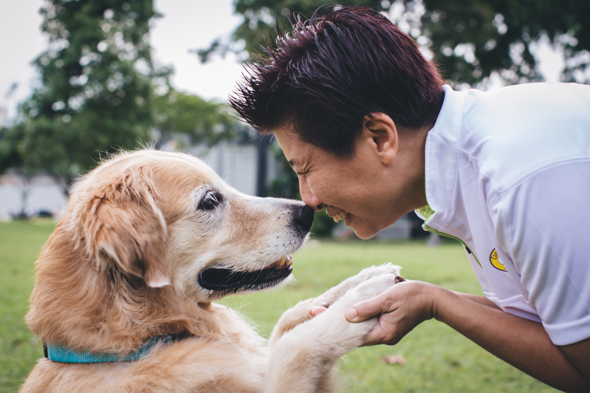 Force-free dog training with certified professional dog trainer Nee Kang